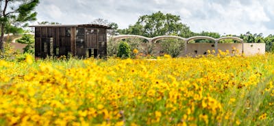In the foreground, a vast lawn adorned with vibrant yellow wildflowers stretches out, with several small garden and shade structures visible in the distance.